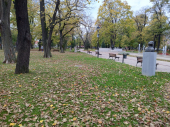 Prvog dana vikenda sveže i kišovito, temperatura do 14 stepeni